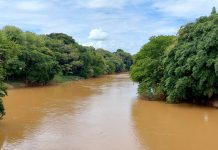 Justiça rejeita pedido de anulação e mantém multa à Ingredion por danos ambientais