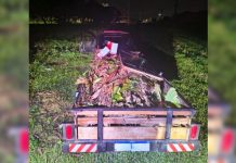 Guardas municipais impedem descarte irregular em área pública no Ypê II