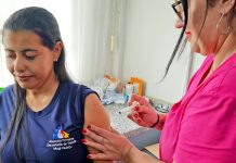 Com 248 doses recebidas, Saúde inicia vacinação de profissionais da atenção básica contra dengue