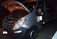 Capivara em plena rodovia causa acidente com van na SP-340